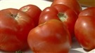 La tomate&nbsp;: son histoire, sa chimie et ses effets