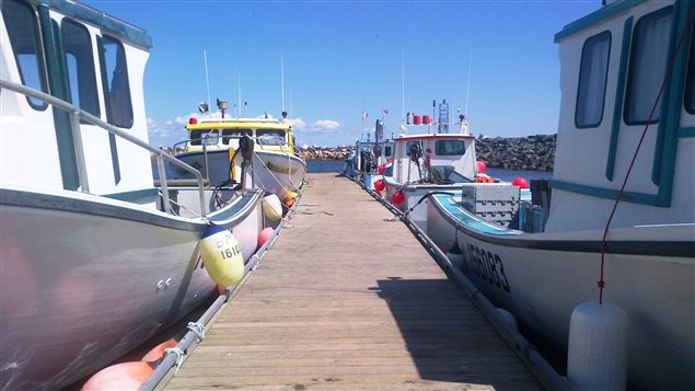 Des bateaux de pêche vides au quai de Grande-Anse, au Nouveau-Brunswick. Des centaines de pêcheurs de homards au Canada sont en grève.