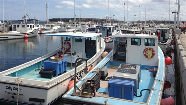 Lobster boats will remain tied up today.