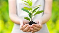 Les quatre saisons du jardinage