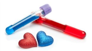 L’amour, c’est chimique!