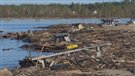 Débris sur les plages du lac Saint-Jean : Saint-Henri-de-Taillon s’occupera de sa portion