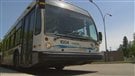 La STS offrira plus de services qu'à l'habitude cet été