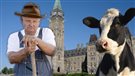 Crise de la vache folle : 10 ans après