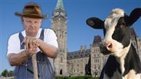 Crise de la vache folle&nbsp;: 10 ans après