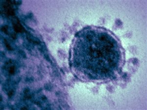 L'OMS prévient que le coronavirus pourrait se transmettre d’une personne à l’autre Image accompagnant la nouvelle