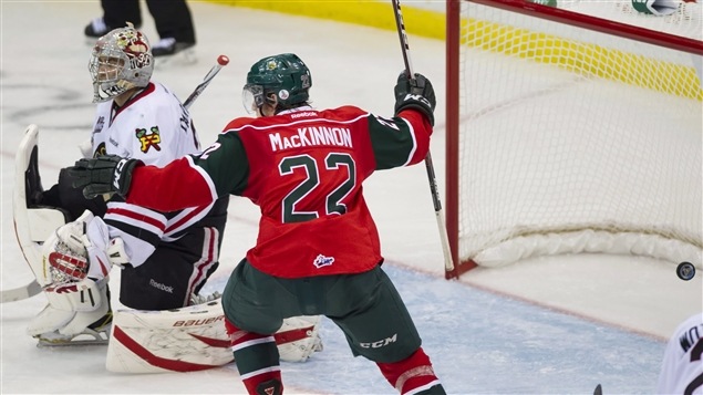 MacKinnon ombrage Jones