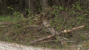 Tempête de décembre: le grand nettoyage dans la Vallée-de-la-Gatineau se poursuit