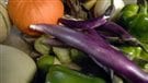 Nelson : les aliments locaux au cœur d’un débat