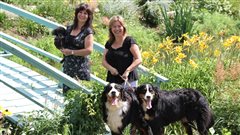 Marie-Claude Roy et Carole Villeneuve �Des anges canins