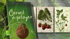 On compte au vingt-et-uni�me si�cle quelque six cents vari�t�s de fraises, dont les plus anciennes �taient objets de fascination d�s le n�olithique.