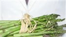 Produit vedette : l'asperge du Québec