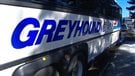 Blue River : excès de vitesse d’un autocar Greyhound