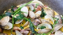 Les palourdes de Bob le Chef