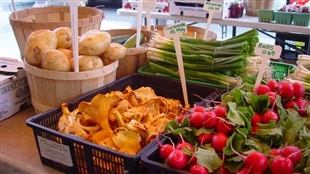 Allons au marché
