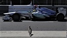 Rosberg très, très libre