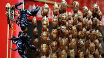 Manger des insectes, bon pour la santé?