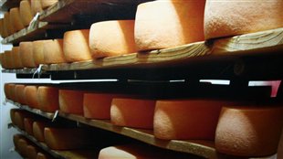 Des fromages québécois de grande qualité
