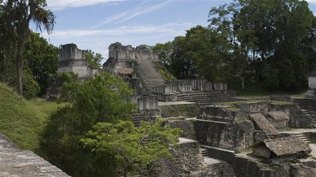  Ruines de Tikal au Guatemalal