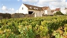 Des vins pour la fêtes des Pères