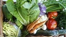 Des pesticides dans des légumes biologiques