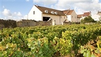 Des vins pour la fêtes des Pères
