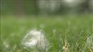 Plus d'allergies plus longtemps