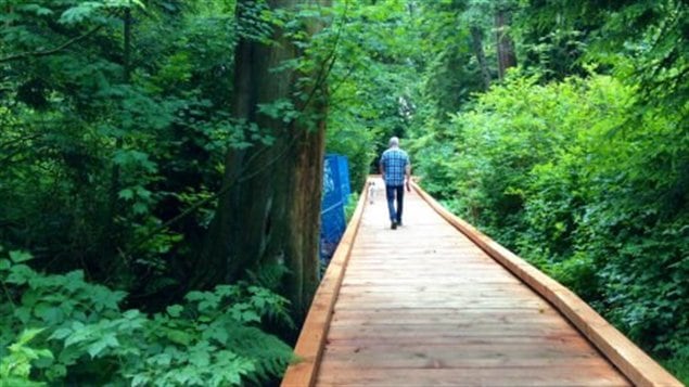 Promenade en bois de 75 m au Parc Stanley de Vancouver.