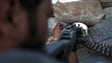 Armes chimiques : Damas accuse Washington de mentir