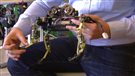 Félin comme un robot