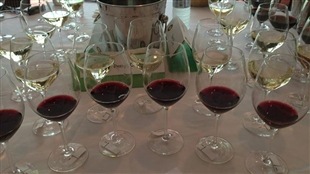 Les National Wine Awards