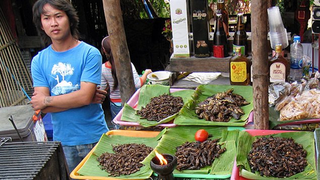 Un commerçant vendant des insectes au Laos
