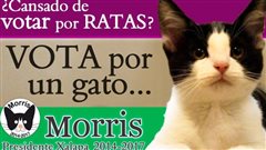 La campagne de Morris le chat