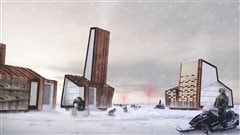 Structure de l� Arctic Food Network  �Lateral Office, 2012