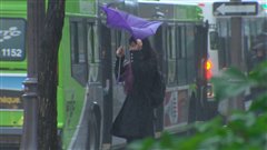 Les rafales atteignent jusqu'à 70 km/h à Québec. Les rafales atteignent jusqu'à 70 km/h à Québec.