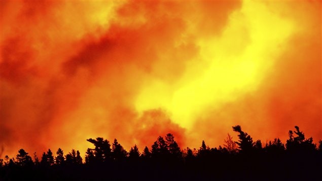  Feu de forêt faisant rage