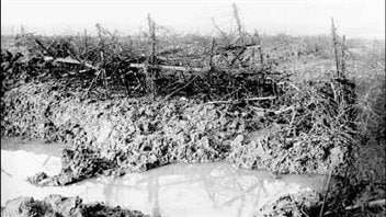 Newfoundland and Canada remember Beaumont Hamel and the Somme of