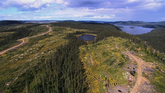 La Fédération québécoise des municipalités souhaite que le budget fédéral du 22 mars 2016 tienne compte des problèmes du secteur forestier