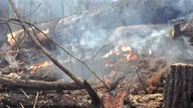  Feu de forêt au nord