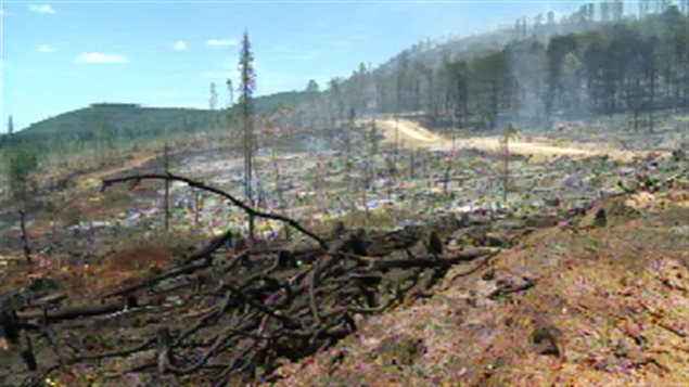 130716_bz97z_feu-foret-edmundston_sn635.
