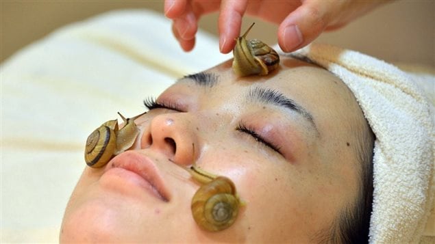 <b>Soins de beauté aux escargots</b> | source : CBBC Newsround
