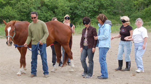 Ron Kulker leads chestnut horse as clients, some blindfolder, follow.