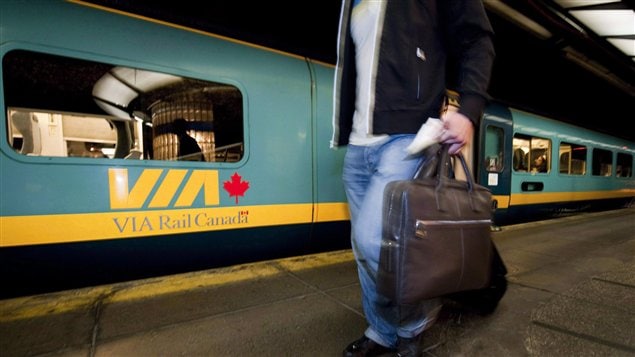 A passenger with a suitcase walks beside a stationary train.