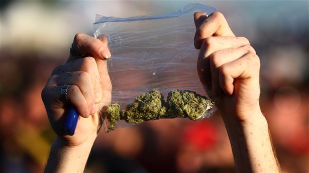 Un participant au festival du « pot » de Seattle tient un sac de marijuana. (19 août 2011)