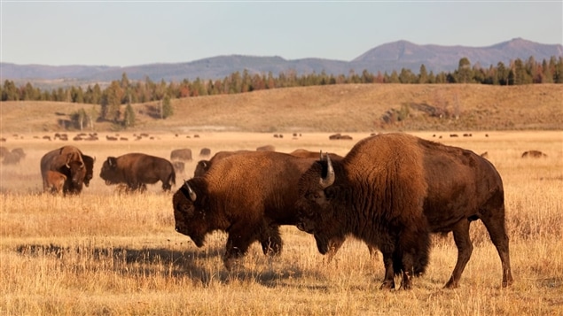 rencontre hubert curien