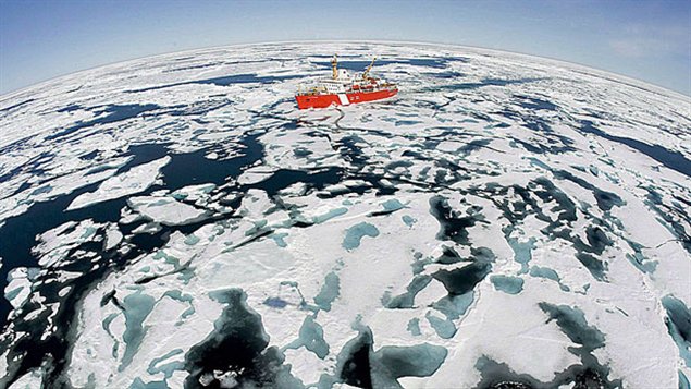 Arctic sea ice has declined by 65 per cent causing even more warming.