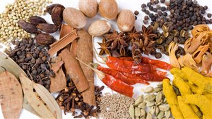La cuisine indienne