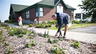 Des villes troquent les aménagements floraux contre des plantes comestibles