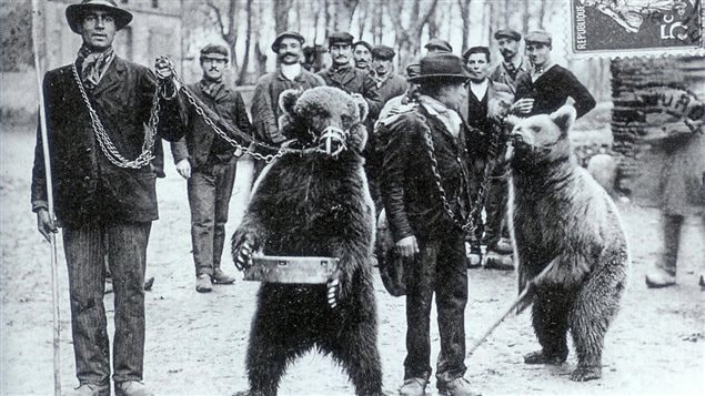 Carte postale des Pyrénées montrant des dompteurs d'ours au début du 20e siècle Carte postale des Pyrénées montrant des dompteurs d'ours au début du 20e siècle