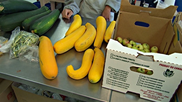 Les banques alimentaires de l'Outaouais dans l'est du Canada affirment qu'elles aimeraient pouvoir compter sur les surplus des jardiniers ou des agriculteurs de leur région.